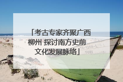考古专家齐聚广西柳州 探讨南方史前文化发展脉络